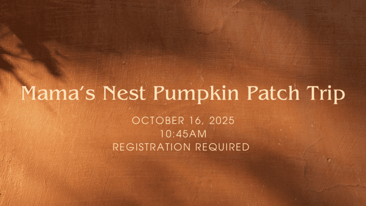 Pumpkin Patch Trip | Mama's Nest banner